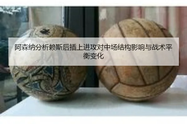 a-sen-na-fen-xi-lai-si-hou-cha-shang-jin-gong-dui-zhong-chang-jie-gou-ying-xiang-yu-zhan-shu-ping-heng-bian-hua-2-317.jpg