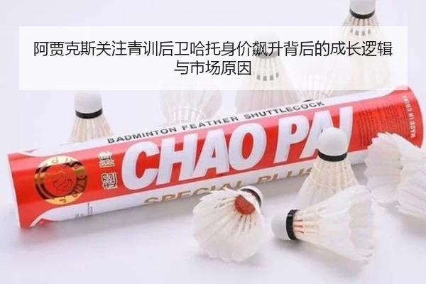 阿贾克斯关注青训后卫哈托身价飙升背后的成长逻辑与市场原因
